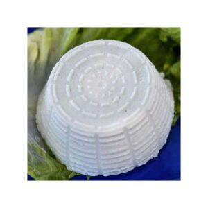 Ricotta
